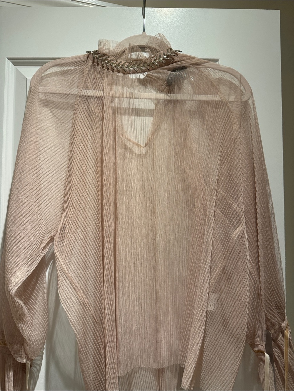 Sheer Pleated High-Neck Blouse in Blush